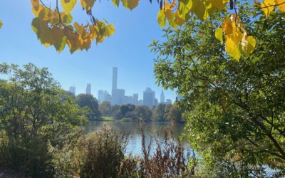 Right place, just a bit late