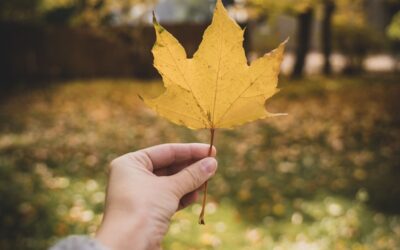 In the blink of an eye