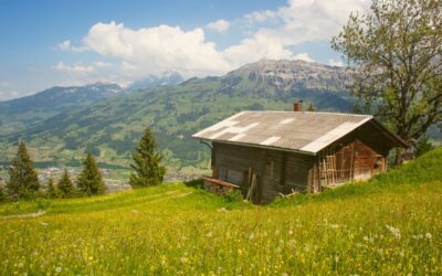 Multiple sounds of music