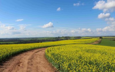 The heart of the city