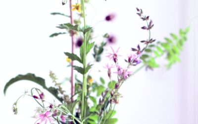 Reflecting on that first job