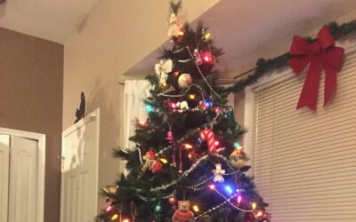 Packing up Christmas