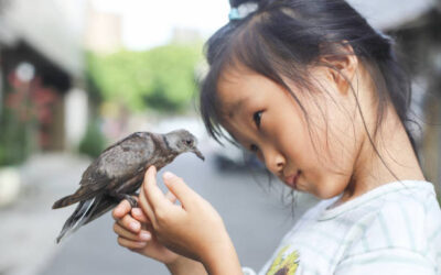 Is anybody happier because you passed this way?