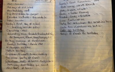 Life through a camera lens