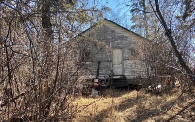 Ghost towns whisper many stories