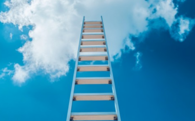Climbing the ladder